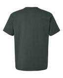hunter-green_https://cdn.ssactivewear.com/Images/Color/116239_b_fl.jpg