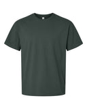 hunter-green_https://cdn.ssactivewear.com/Images/Color/116239_f_fl.jpg