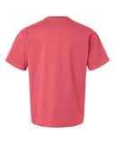 vintage-red_https://cdn.ssactivewear.com/Images/Color/116242_b_fl.jpg