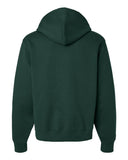 forest_https://cdn.ssactivewear.com/Images/Color/116256_b_fl.jpg