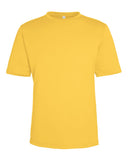campus-gold_https://cdn.ssactivewear.com/Images/Color/118790_f_fl.jpg