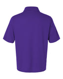 campus-purple_https://cdn.ssactivewear.com/Images/Color/118917_b_fl.jpg