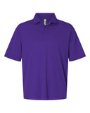 campus-purple_https://cdn.ssactivewear.com/Images/Color/118917_f_fl.jpg