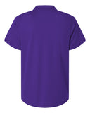 campus-purple_https://cdn.ssactivewear.com/Images/Color/118994_b_fl.jpg