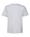 platinum_https://cdn.ssactivewear.com/Images/Color/119067_b_fl.jpg