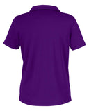 campus-purple_https://cdn.ssactivewear.com/Images/Color/119104_b_fl.jpg