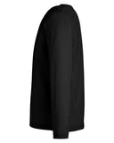 black_https://cdn.ssactivewear.com/Images/Color/119389_d_fl.jpg