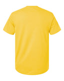 daisy_https://cdn.ssactivewear.com/Images/Color/131227_b_fl.jpg