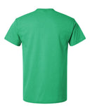 heather-irish-green_https://cdn.ssactivewear.com/Images/Color/131231_b_fl.jpg