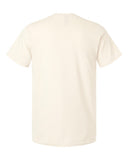 natural_https://cdn.ssactivewear.com/Images/Color/131239_b_fl.jpg