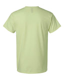 pistachio_https://cdn.ssactivewear.com/Images/Color/131243_b_fl.jpg