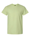 pistachio_https://cdn.ssactivewear.com/Images/Color/131243_f_fl.jpg