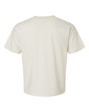 natural-heather_https://cdn.ssactivewear.com/Images/Color/135476_b_fl.jpg