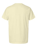 buttermilk_https://cdn.ssactivewear.com/Images/Color/135799_b_fl.jpg