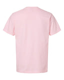 pink_https://cdn.ssactivewear.com/Images/Color/135803_b_fl.jpg