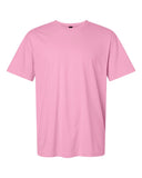 fan-candy-pink_https://cdn.ssactivewear.com/Images/Color/137555_f_fl.jpg