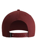black-cherry-deep-gold_https://cdn.ssactivewear.com/Images/Color/142133_b_fl.jpg