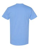 carolina-blue_https://cdn.ssactivewear.com/Images/Color/16789_b_fl.jpg