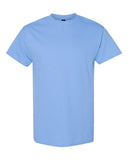 carolina-blue_https://cdn.ssactivewear.com/Images/Color/16789_f_fl.jpg