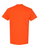 orange_https://cdn.ssactivewear.com/Images/Color/16804_b_fl.jpg