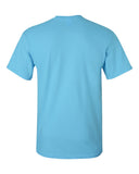 sky_https://cdn.ssactivewear.com/Images/Color/16809_b_fl.jpg