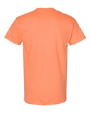 tangerine_https://cdn.ssactivewear.com/Images/Color/16811_b_fl.jpg