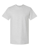 ash_https://cdn.ssactivewear.com/Images/Color/17072_f_fl.jpg
