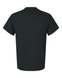 black_https://cdn.ssactivewear.com/Images/Color/17075_b_fl.jpg