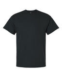 black_https://cdn.ssactivewear.com/Images/Color/17075_f_fl.jpg