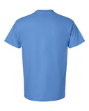 iris_https://cdn.ssactivewear.com/Images/Color/17096_b_fl.jpg