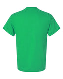 irish-green_https://cdn.ssactivewear.com/Images/Color/17097_b_fl.jpg