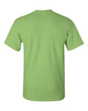 kiwi_https://cdn.ssactivewear.com/Images/Color/17099_b_fl.jpg