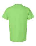 lime_https://cdn.ssactivewear.com/Images/Color/17102_b_fl.jpg