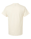 natural_https://cdn.ssactivewear.com/Images/Color/17105_b_fl.jpg