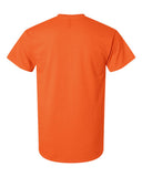 orange_https://cdn.ssactivewear.com/Images/Color/17108_b_fl.jpg