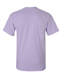 orchid_https://cdn.ssactivewear.com/Images/Color/17109_b_fl.jpg