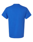 royal_https://cdn.ssactivewear.com/Images/Color/17115_b_fl.jpg