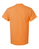 tangerine_https://cdn.ssactivewear.com/Images/Color/17125_b_fl.jpg