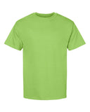lime_https://cdn.ssactivewear.com/Images/Color/17264_f_fl.jpg