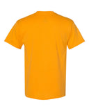 gold_https://cdn.ssactivewear.com/Images/Color/17824_b_fl.jpg