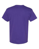 purple_https://cdn.ssactivewear.com/Images/Color/17832_b_fl.jpg