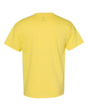 yellow_https://cdn.ssactivewear.com/Images/Color/17839_b_fl.jpg