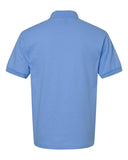 carolina-blue_https://cdn.ssactivewear.com/Images/Color/18501_b_fl.jpg