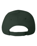 forest_https://cdn.ssactivewear.com/Images/Color/20171_b_fl.jpg