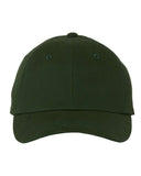 forest_https://cdn.ssactivewear.com/Images/Color/20171_f_fl.jpg