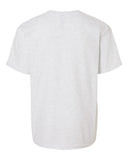 ash_https://cdn.ssactivewear.com/Images/Color/21003_b_fl.jpg