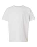 ash_https://cdn.ssactivewear.com/Images/Color/21003_f_fl.jpg