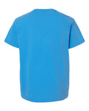 royal-caribe_https://cdn.ssactivewear.com/Images/Color/21059_b_fl.jpg