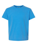 royal-caribe_https://cdn.ssactivewear.com/Images/Color/21059_f_fl.jpg