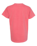 watermelon_https://cdn.ssactivewear.com/Images/Color/21060_b_fl.jpg